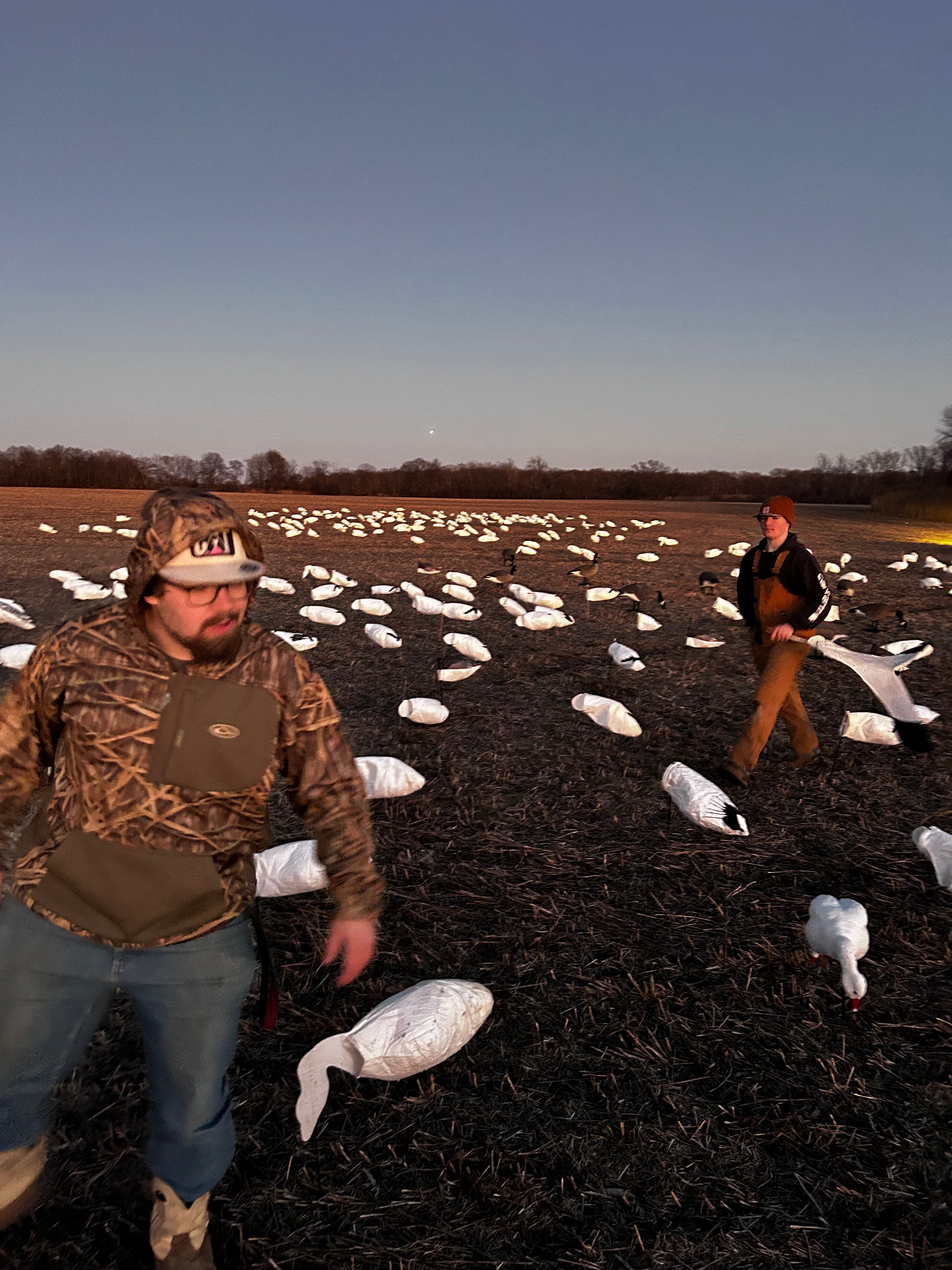 Guided Snow Goose Hunts